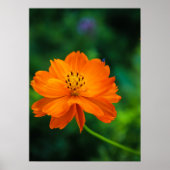 小さな青いバグ ポスター (正面)