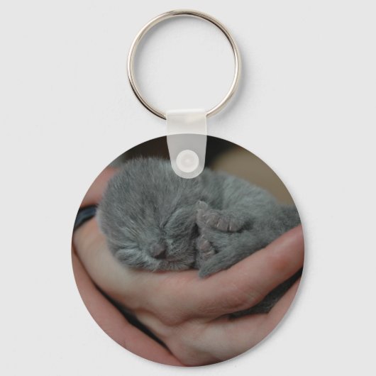 小さな青い子猫 キーホルダー (正面)