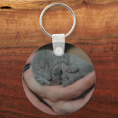 小さな青い子猫 キーホルダー (正面)
