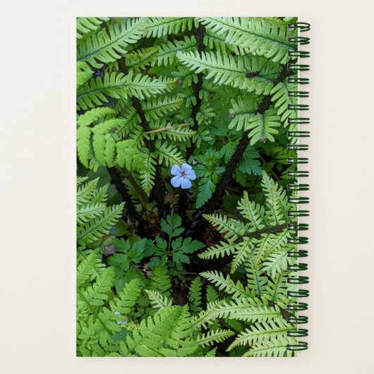 小さな青い花とダチョウのシダフローラ ノートブック (裏面)