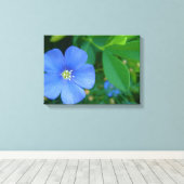 小さな青い花 キャンバスプリント (インサイチュ (ウッドフロア))