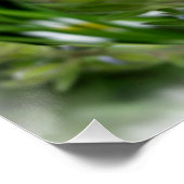 小さな青い花 ポスター (コーナー)