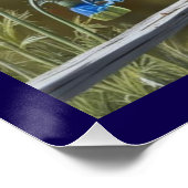 小さな青の鳥の光沢ポスター ポスター (コーナー)