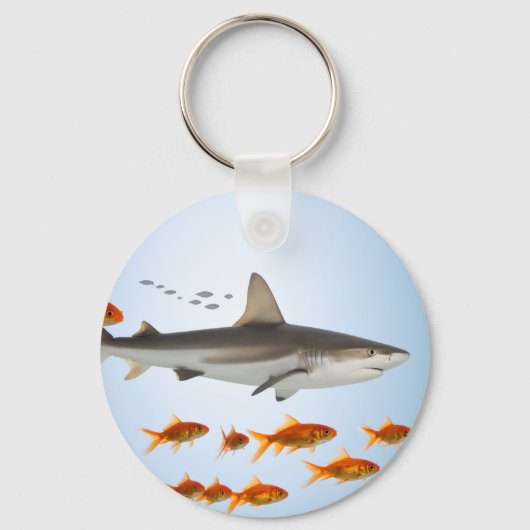 小さな魚 大きな影 キーホルダー (正面)