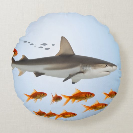 小さな魚 大きな影 ラウンドクッション (正面)