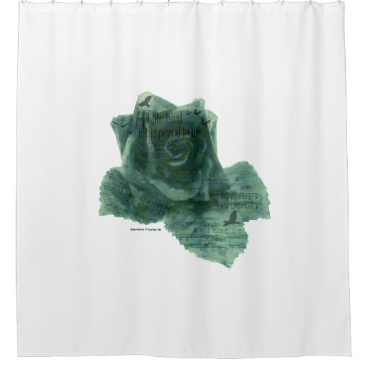 小さな鳥がバラ シャワーカーテン (正面)