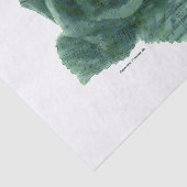 小さな鳥がバラ 薄葉紙 (詳細)