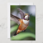 小さな鳥のタイポグラフィーオーダー 招待状 (裏面)