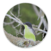 小さな鳥の引き出しプル セラミックノブ (正面)