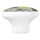 小さな鳥の引き出しプル セラミックノブ (側面)