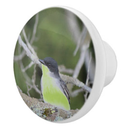 小さな鳥の引き出しプル セラミックノブ