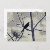 小さな鳥 – バイバイバイブラックバード ポストカード (正面/裏面)