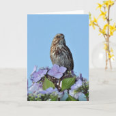 小さな鳴き鳥のグリーティングカード カード (黄色い花)
