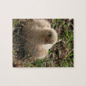 小さな鶏ひよこ動物,ファーム ジグソーパズル (横)