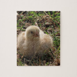 小さな鶏ひよこ動物,ファーム ジグソーパズル