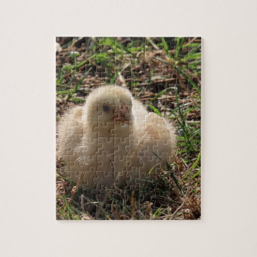 小さな鶏ひよこ動物,ファーム ジグソーパズル (縦)