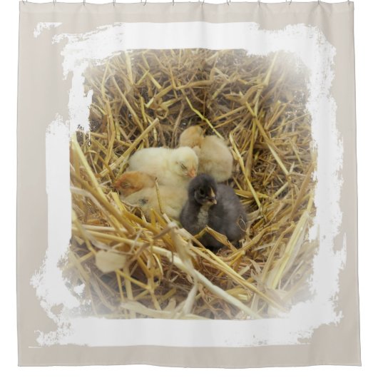 小さな鶏 シャワーカーテン (正面)