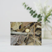 小さな黄色のキノコのはがき ポストカード (スタンド正面)