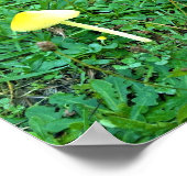 小さな黄色のキノコ ポスター (角)