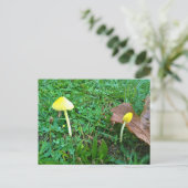 小さな黄色のキノコ ポストカード (スタンド正面)