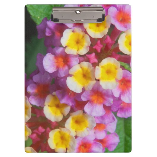 小さな黄色のピンクと紫の熱帯の花 クリップボード (正面)