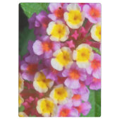 小さな黄色のピンクと紫の熱帯の花 クリップボード (裏面)