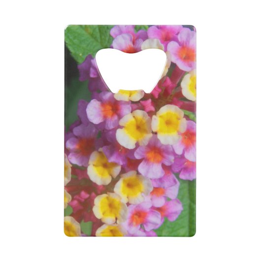 小さな黄色のピンクと紫の熱帯の花 クレジットカード栓抜き (正面)