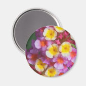 小さな黄色のピンクと紫の熱帯の花 マグネット (正面/裏面)