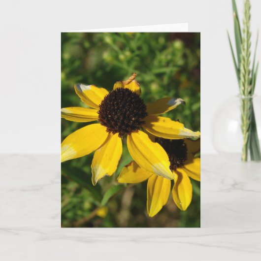 小さな黄色の野草 カード (正面)