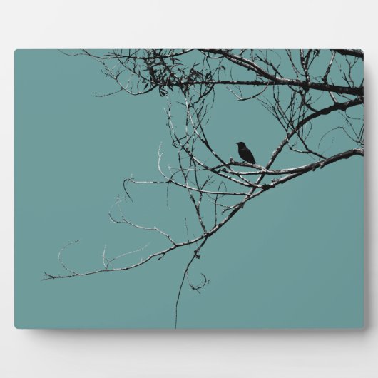 小さな黒い鳥のプラーク フォトプラーク (正面)
