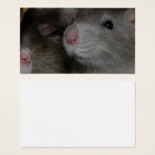 小さな鼻 (正面&裏面)