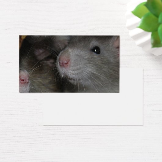 小さな鼻 (デスク)