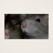 小さな鼻 (正面)