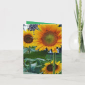 小さな、４インチ×５.６インチの折り畳まれたグリーティングカード カード (裏面)