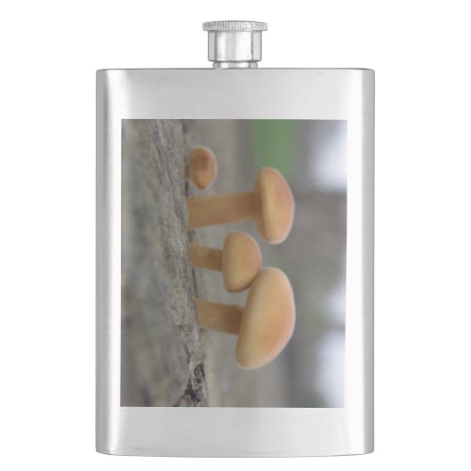 小さなToadstoolsマクロフラスコ フラスク (正面)