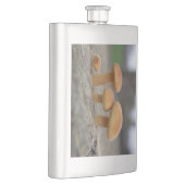 小さなToadstoolsマクロフラスコ フラスク (右)