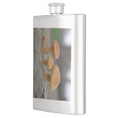 小さなToadstoolsマクロフラスコ フラスク (左)