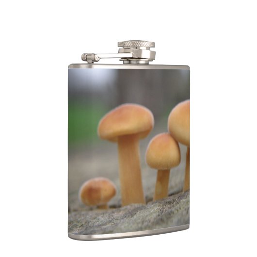 小さなToadstoolsマクロフラスコ フラスク (右)