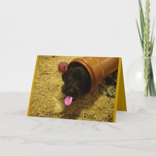 小よくはしゃぐ犬 シーズンカード (正面)