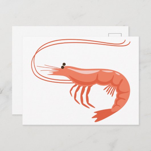 小エビ ポストカード (正面/裏面)