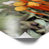 小オレンジワイルドマッシュルーム8x10自然 フォトプリント            (角)