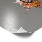 小オレンジ色かわいいクモ フォトプリント            (角)