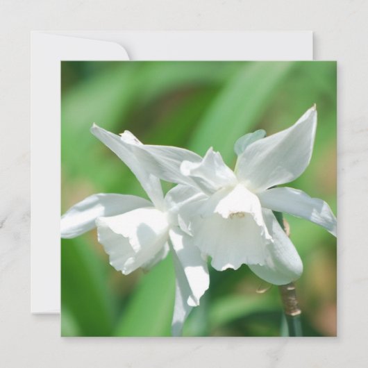 小カップダフォジル招待状 招待状 (正面)