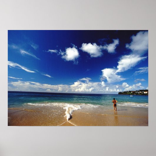 小カリブの領アンティル、西インディ、2 ポスター (正面)