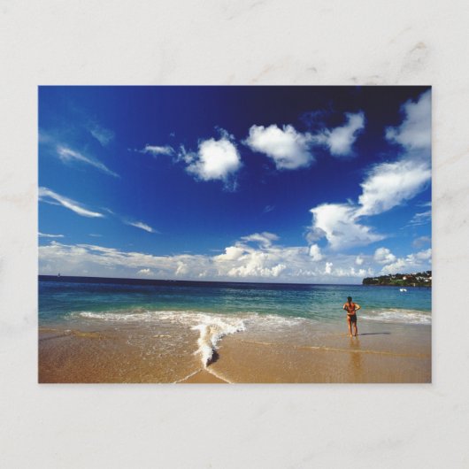 小カリブの領アンティル、西インディ、2 ポストカード (正面)