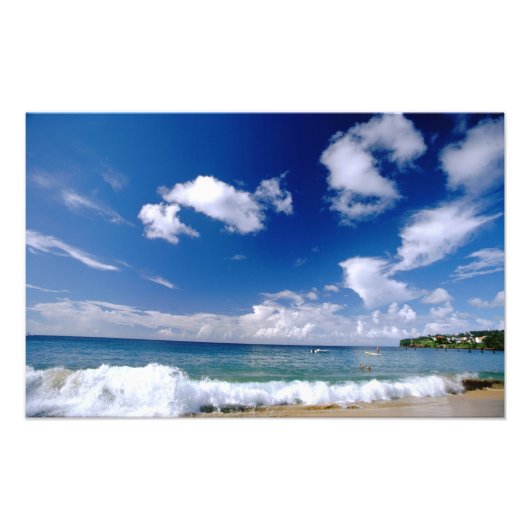 小カリブの領アンティル、西インディ、5 フォトプリント            (正面)