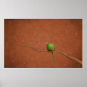 小ケツァル ポスター (正面)