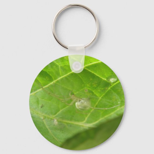 小スパイダーキーチェーン キーホルダー (正面)