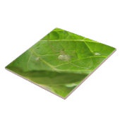 小スパイダータイル タイル (側面)