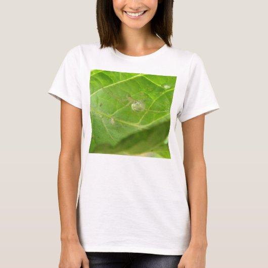 小スパイダーレディースTシャツ Tシャツ (正面)